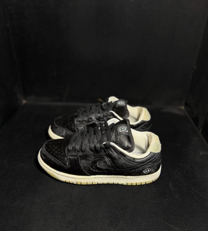 SB Dunk Low Bearbrick