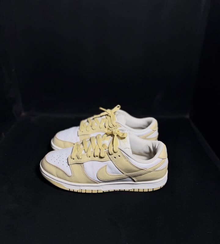 Nike SB Dunk Low Team Gold
